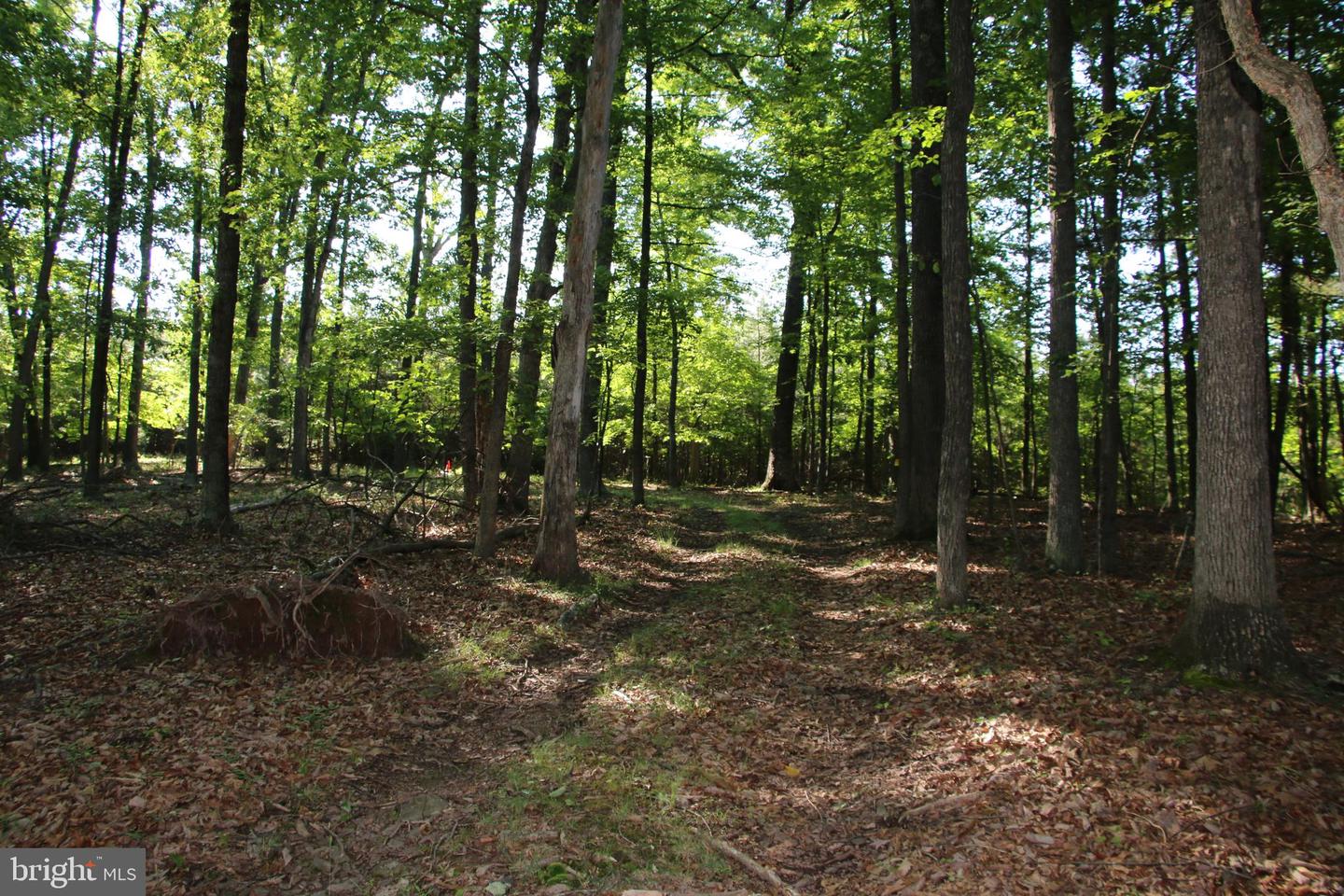 MOCKINGBIRD LOT 8 LN, WINCHESTER, Virginia 22603, ,Land,For sale,MOCKINGBIRD LOT 8 LN,VAFV2034374 MLS # VAFV2034374