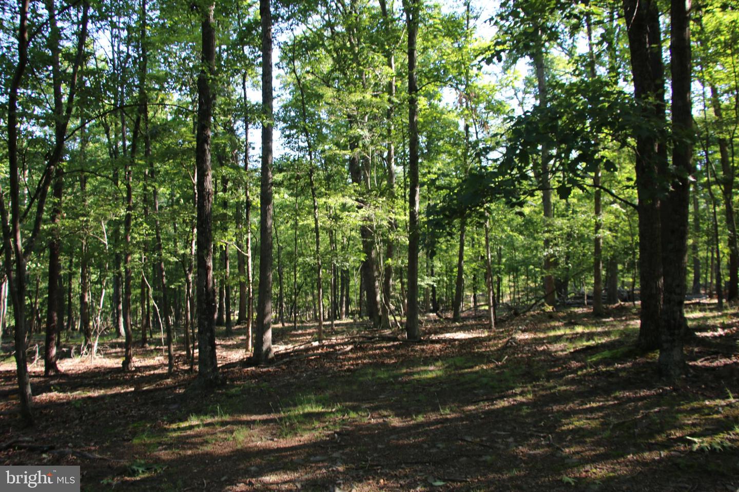 MOCKINGBIRD LOT 8 LN, WINCHESTER, Virginia 22603, ,Land,For sale,MOCKINGBIRD LOT 8 LN,VAFV2034374 MLS # VAFV2034374