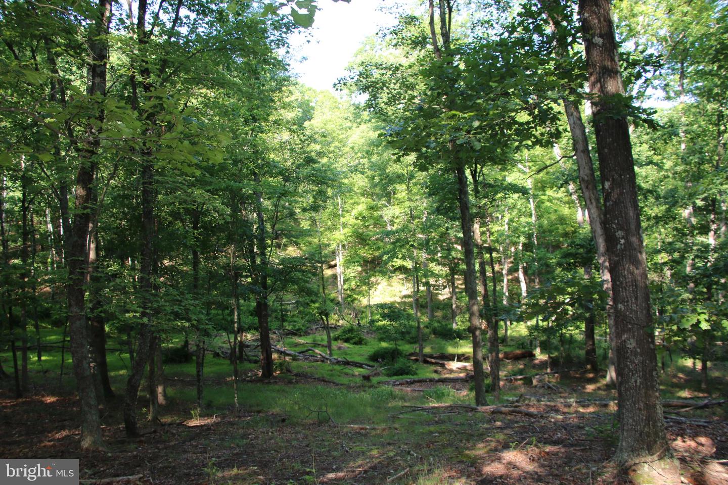 MOCKINGBIRD LOT 8 LN, WINCHESTER, Virginia 22603, ,Land,For sale,MOCKINGBIRD LOT 8 LN,VAFV2034374 MLS # VAFV2034374