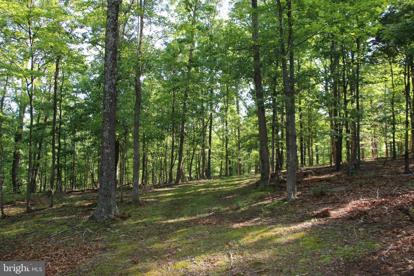 MOCKINGBIRD LOT 8 LN, WINCHESTER, Virginia 22603, ,Land,For sale,MOCKINGBIRD LOT 8 LN,VAFV2034374 MLS # VAFV2034374