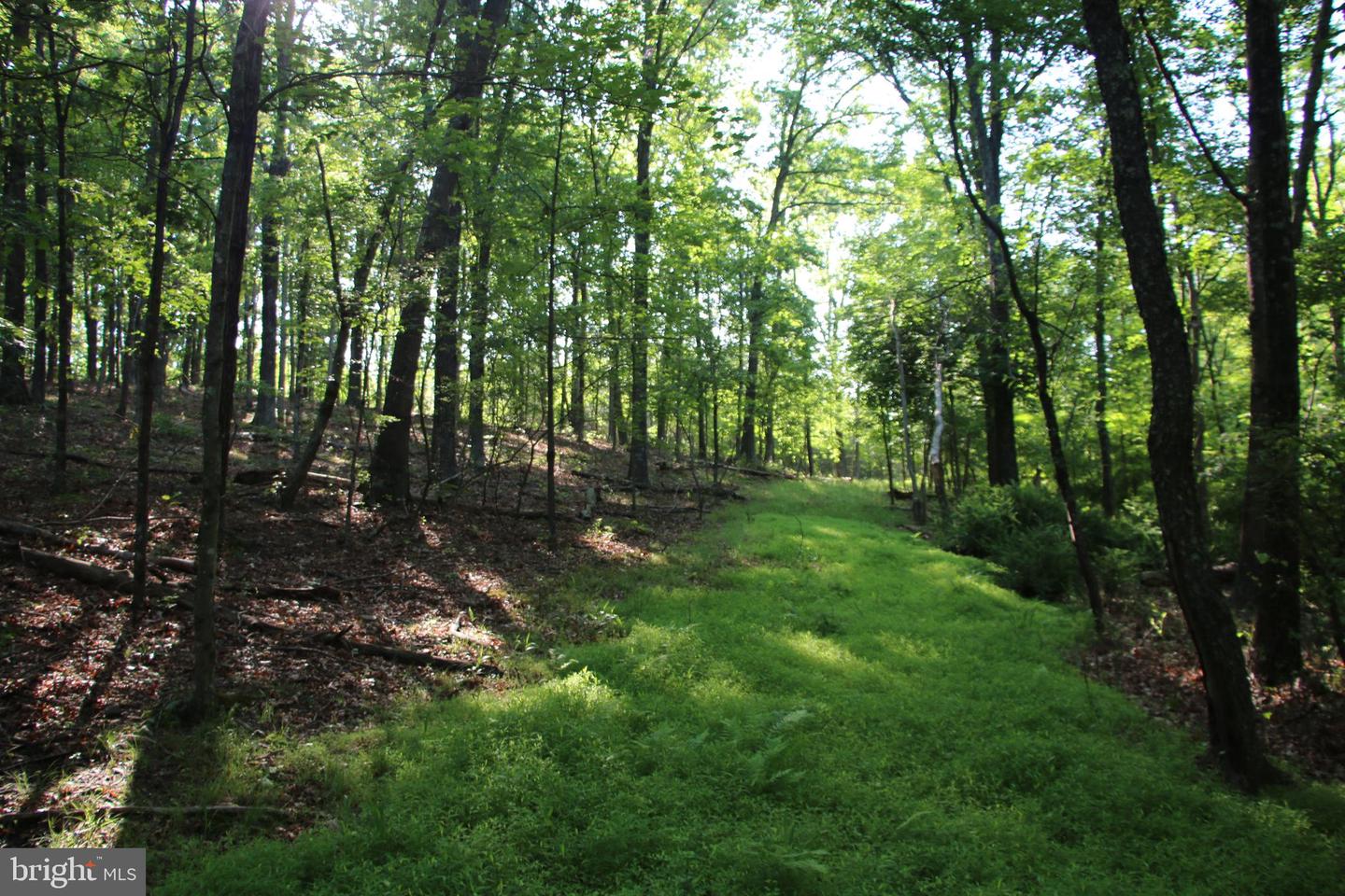 MOCKINGBIRD LOT 8 LN, WINCHESTER, Virginia 22603, ,Land,For sale,MOCKINGBIRD LOT 8 LN,VAFV2034374 MLS # VAFV2034374