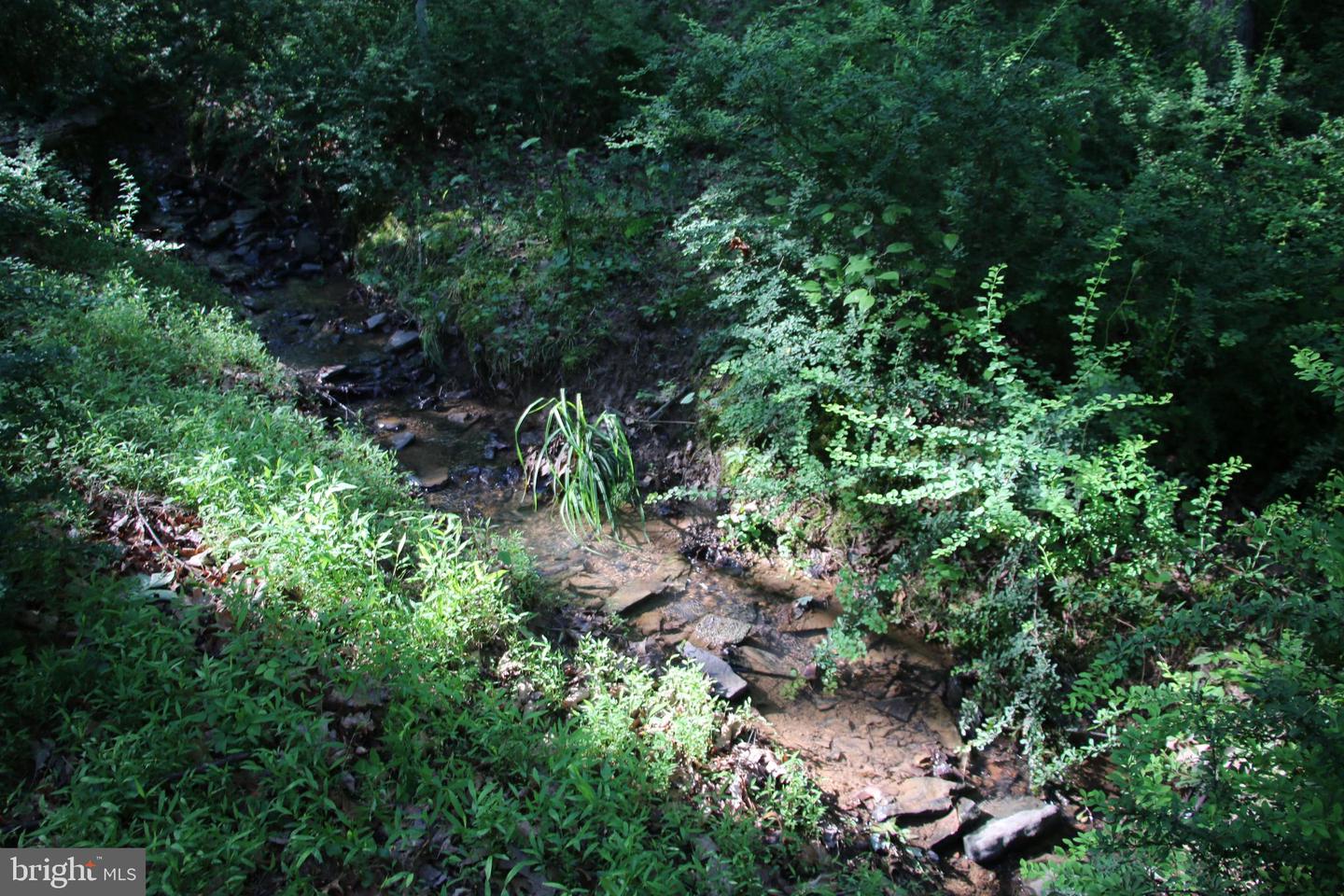 MOCKINGBIRD LOT 8 LN, WINCHESTER, Virginia 22603, ,Land,For sale,MOCKINGBIRD LOT 8 LN,VAFV2034374 MLS # VAFV2034374