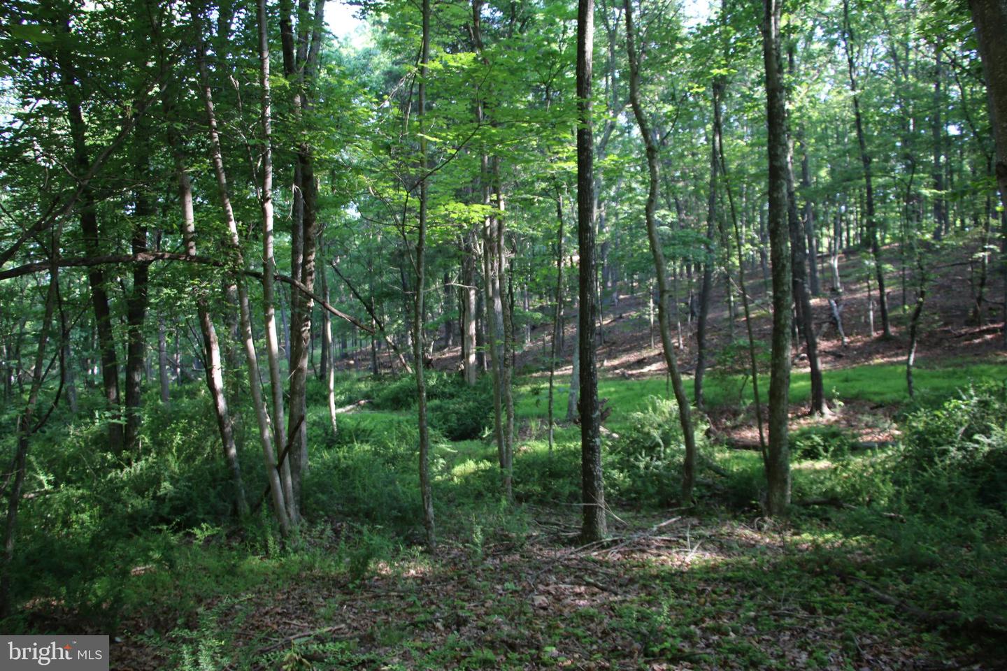 MOCKINGBIRD LOT 8 LN, WINCHESTER, Virginia 22603, ,Land,For sale,MOCKINGBIRD LOT 8 LN,VAFV2034374 MLS # VAFV2034374