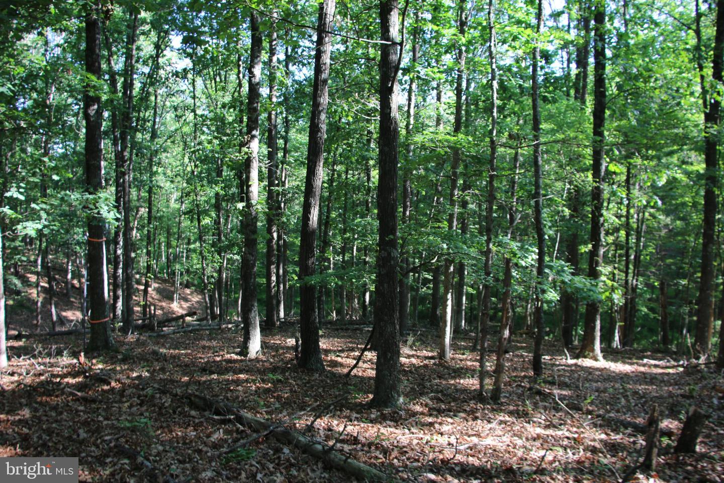 MOCKINGBIRD LOT 8 LN, WINCHESTER, Virginia 22603, ,Land,For sale,MOCKINGBIRD LOT 8 LN,VAFV2034374 MLS # VAFV2034374