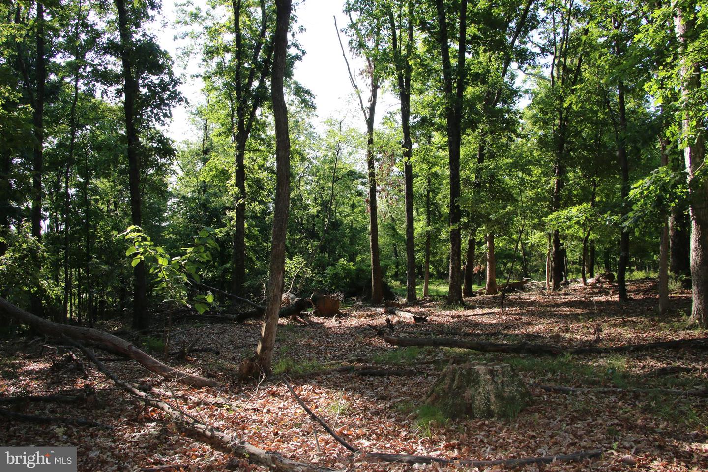 MOCKINGBIRD LOT 8 LN, WINCHESTER, Virginia 22603, ,Land,For sale,MOCKINGBIRD LOT 8 LN,VAFV2034374 MLS # VAFV2034374
