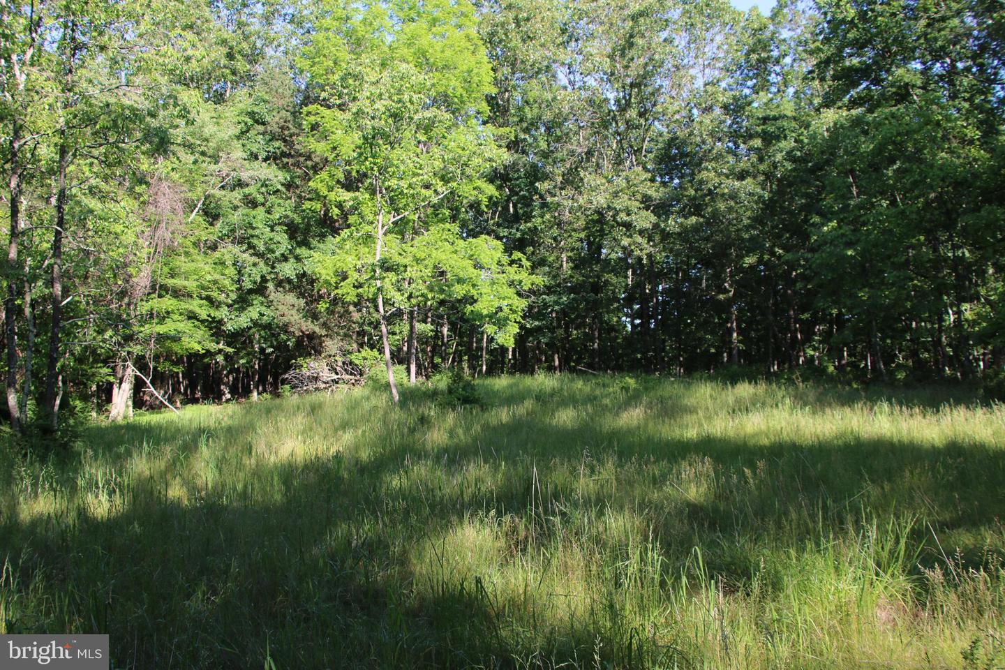 MOCKINGBIRD LOT 8 LN, WINCHESTER, Virginia 22603, ,Land,For sale,MOCKINGBIRD LOT 8 LN,VAFV2034374 MLS # VAFV2034374