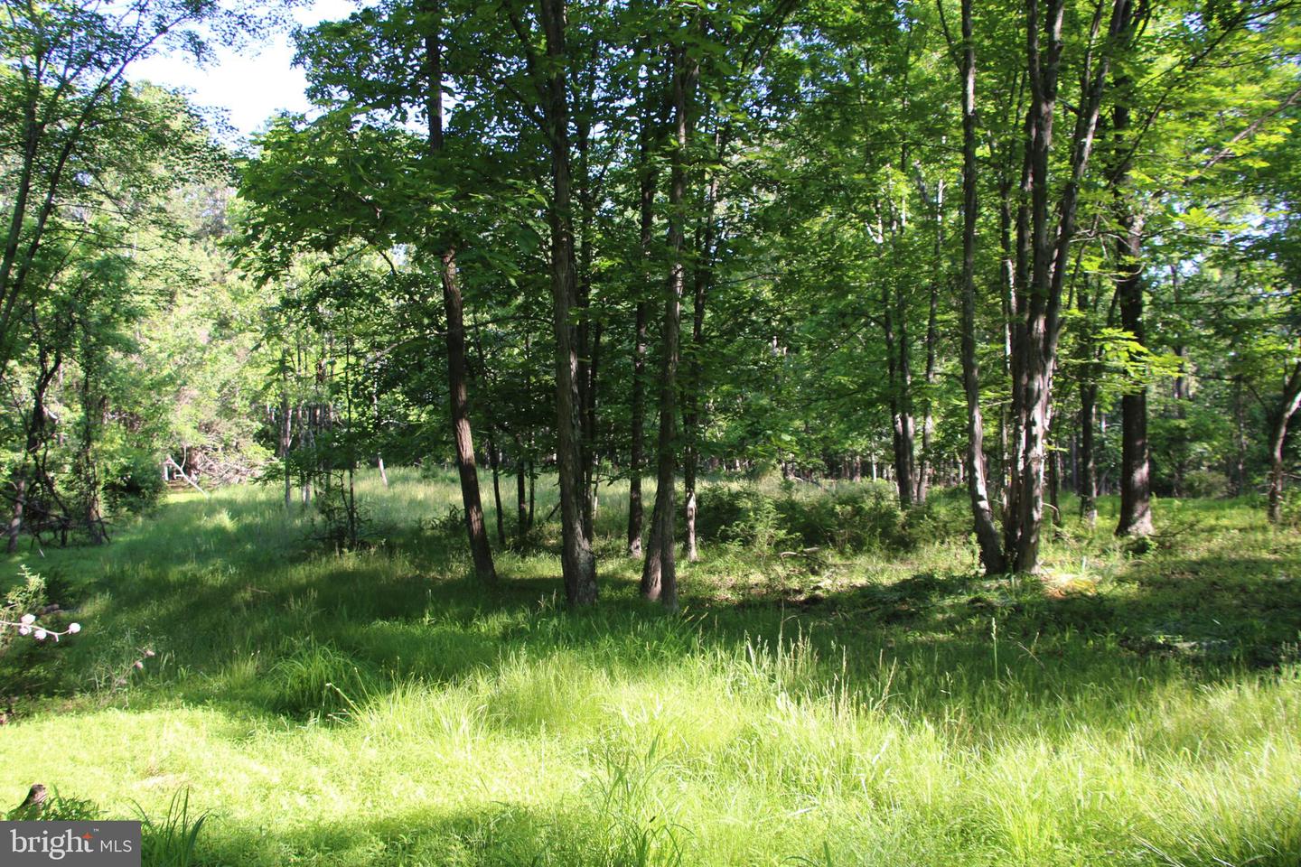 MOCKINGBIRD LOT 8 LN, WINCHESTER, Virginia 22603, ,Land,For sale,MOCKINGBIRD LOT 8 LN,VAFV2034374 MLS # VAFV2034374