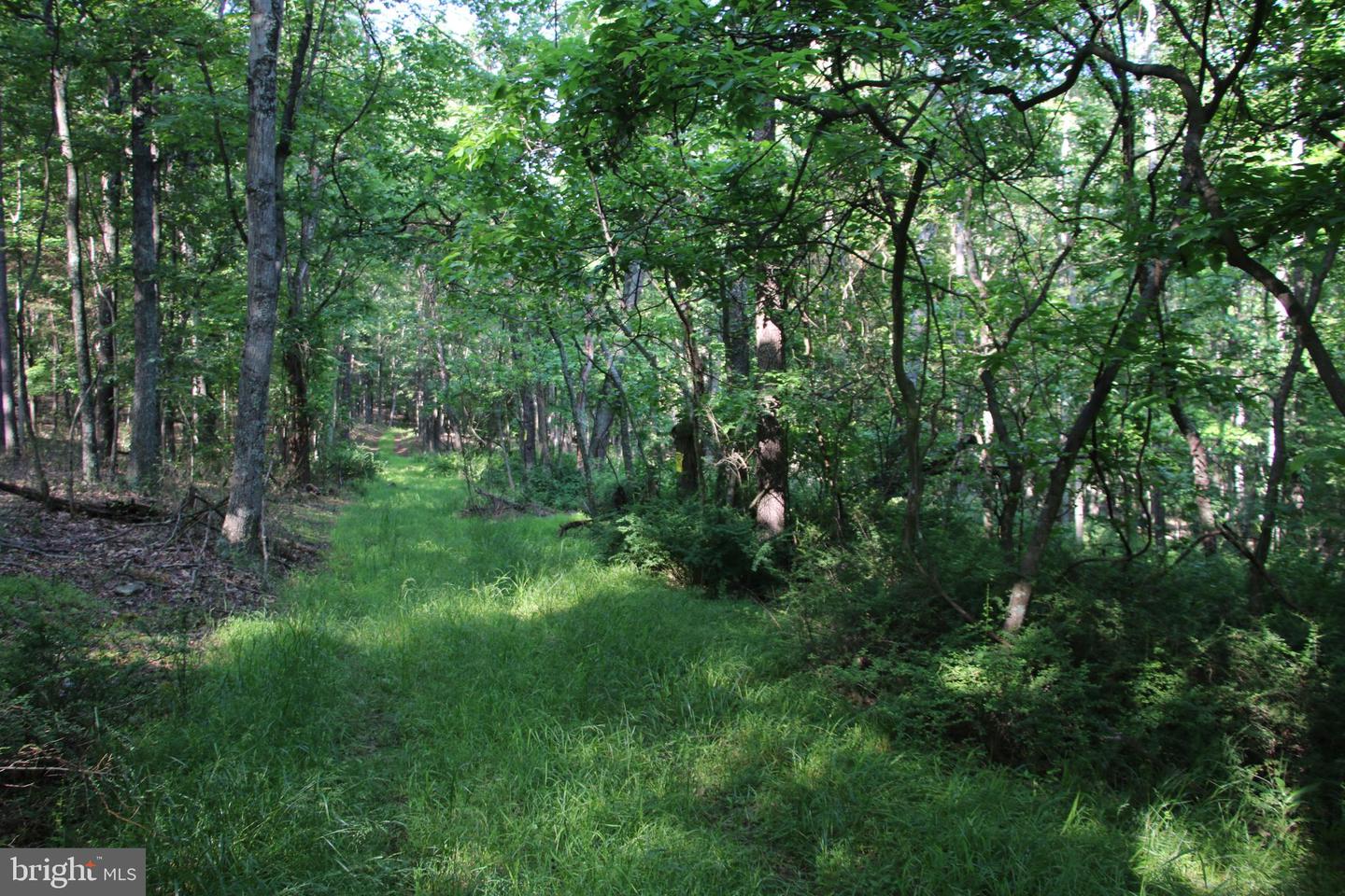 MOCKINGBIRD LOT 8 LN, WINCHESTER, Virginia 22603, ,Land,For sale,MOCKINGBIRD LOT 8 LN,VAFV2034374 MLS # VAFV2034374