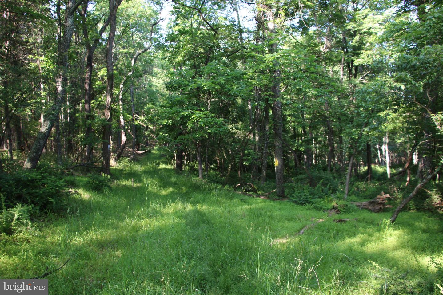 MOCKINGBIRD LOT 8 LN, WINCHESTER, Virginia 22603, ,Land,For sale,MOCKINGBIRD LOT 8 LN,VAFV2034374 MLS # VAFV2034374