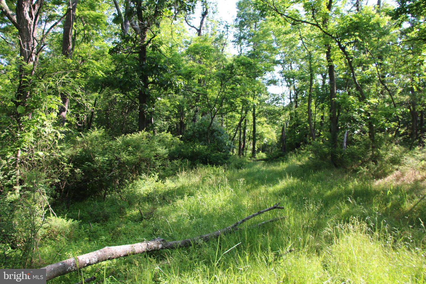 MOCKINGBIRD LOT 8 LN, WINCHESTER, Virginia 22603, ,Land,For sale,MOCKINGBIRD LOT 8 LN,VAFV2034374 MLS # VAFV2034374