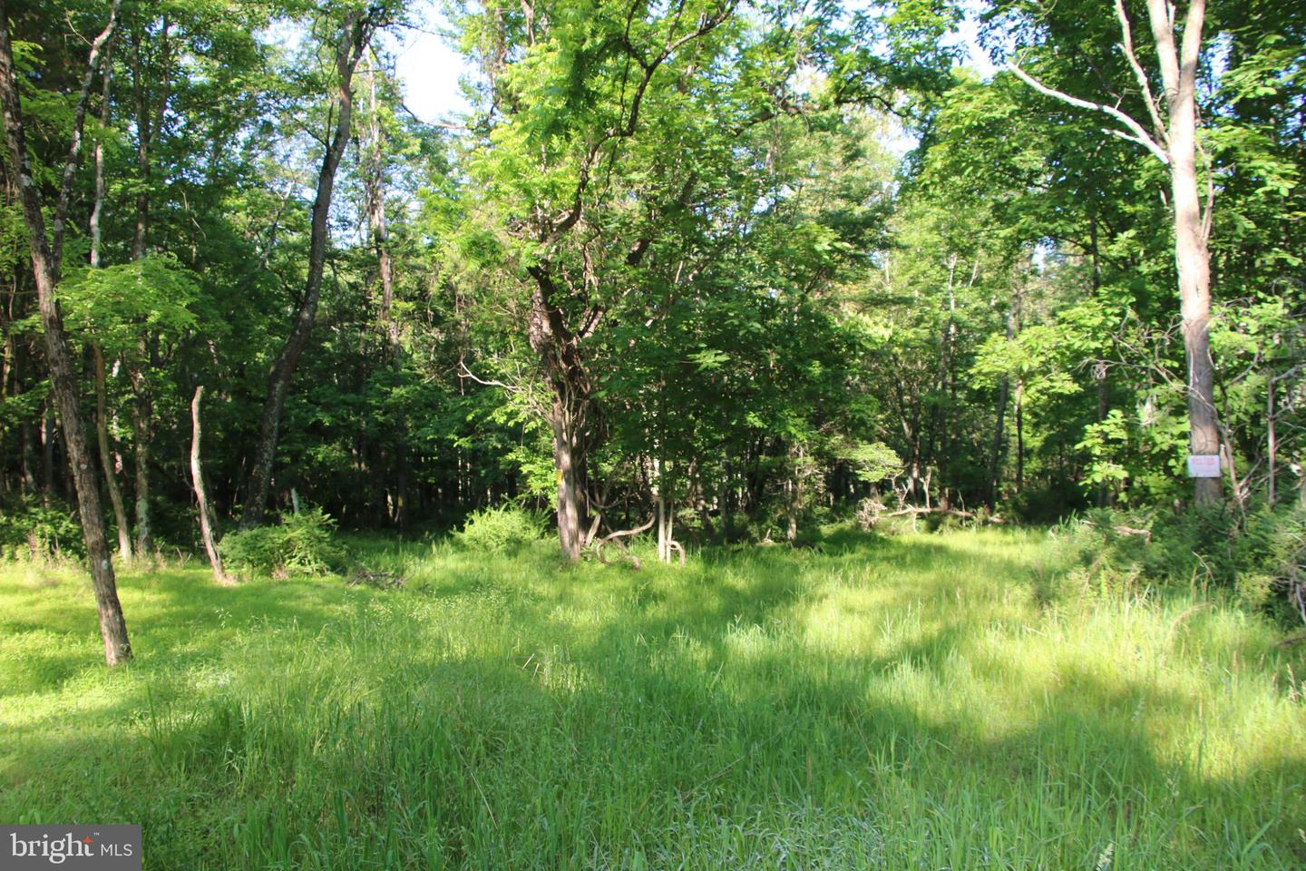 MOCKINGBIRD LOT 8 LN, WINCHESTER, Virginia 22603, ,Land,For sale,MOCKINGBIRD LOT 8 LN,VAFV2034374 MLS # VAFV2034374