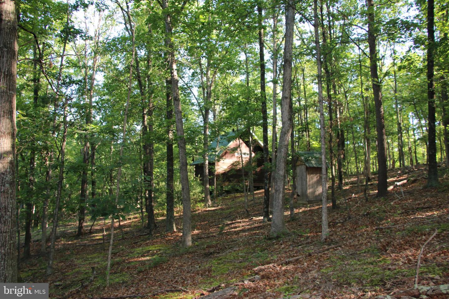 MOCKINGBIRD LOT 8 LN, WINCHESTER, Virginia 22603, ,Land,For sale,MOCKINGBIRD LOT 8 LN,VAFV2034374 MLS # VAFV2034374