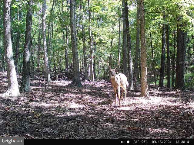 EASTER RIDGE LOT 8 LN, WINCHESTER, Virginia 22603, ,Land,For sale,EASTER RIDGE LOT 8 LN,VAFV2034374 MLS # VAFV2034374