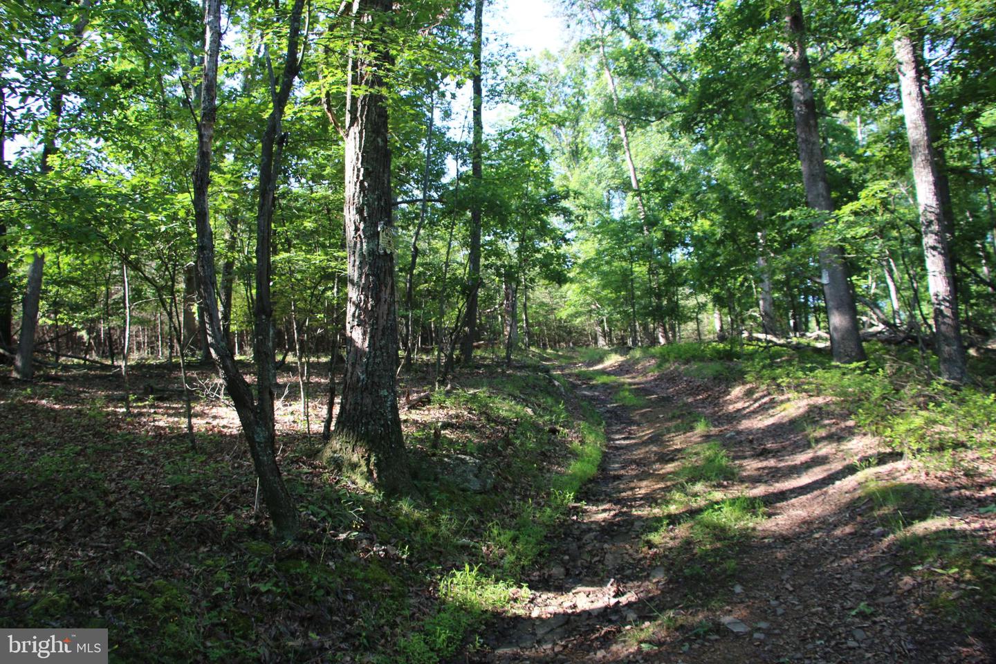 MOCKINGBIRD LOT 7A LN, WINCHESTER, Virginia 22603, ,Land,For sale,MOCKINGBIRD LOT 7A LN,VAFV2034376 MLS # VAFV2034376