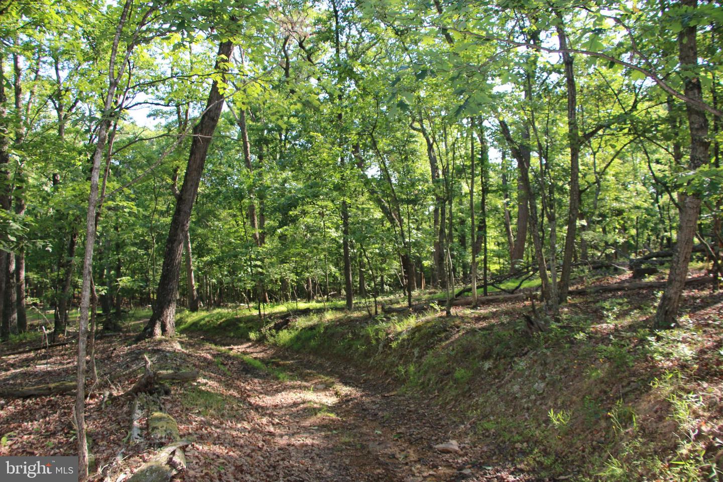 MOCKINGBIRD LOT 7A LN, WINCHESTER, Virginia 22603, ,Land,For sale,MOCKINGBIRD LOT 7A LN,VAFV2034376 MLS # VAFV2034376