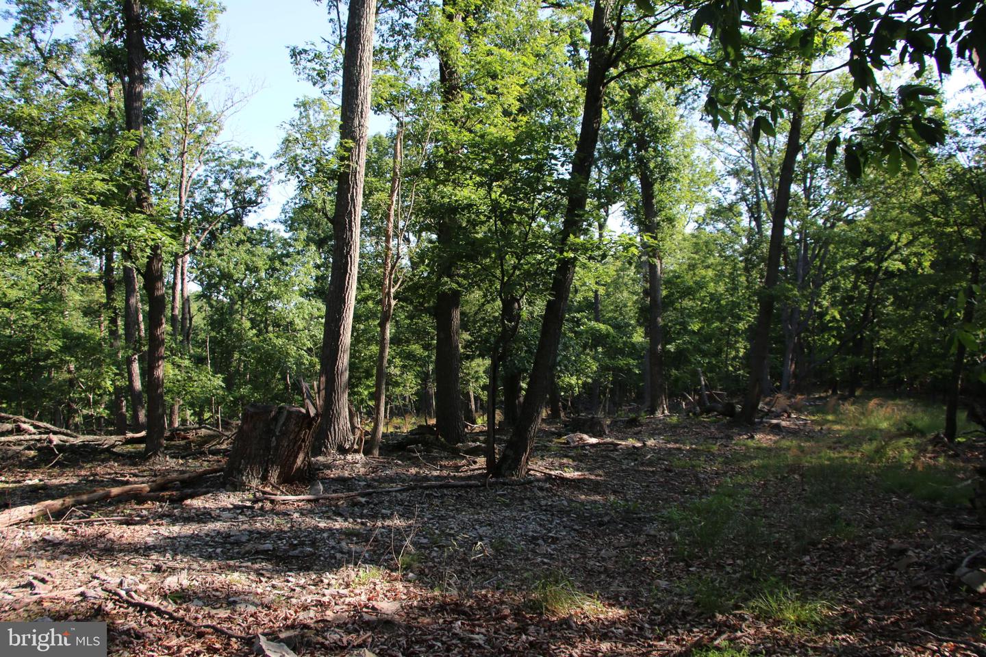 MOCKINGBIRD LOT 7A LN, WINCHESTER, Virginia 22603, ,Land,For sale,MOCKINGBIRD LOT 7A LN,VAFV2034376 MLS # VAFV2034376