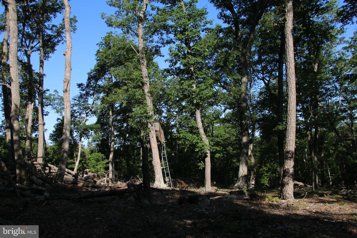 MOCKINGBIRD LOT 7A LN, WINCHESTER, Virginia 22603, ,Land,For sale,MOCKINGBIRD LOT 7A LN,VAFV2034376 MLS # VAFV2034376