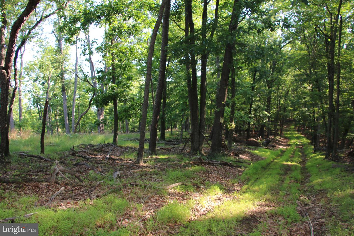 MOCKINGBIRD LOT 7A LN, WINCHESTER, Virginia 22603, ,Land,For sale,MOCKINGBIRD LOT 7A LN,VAFV2034376 MLS # VAFV2034376
