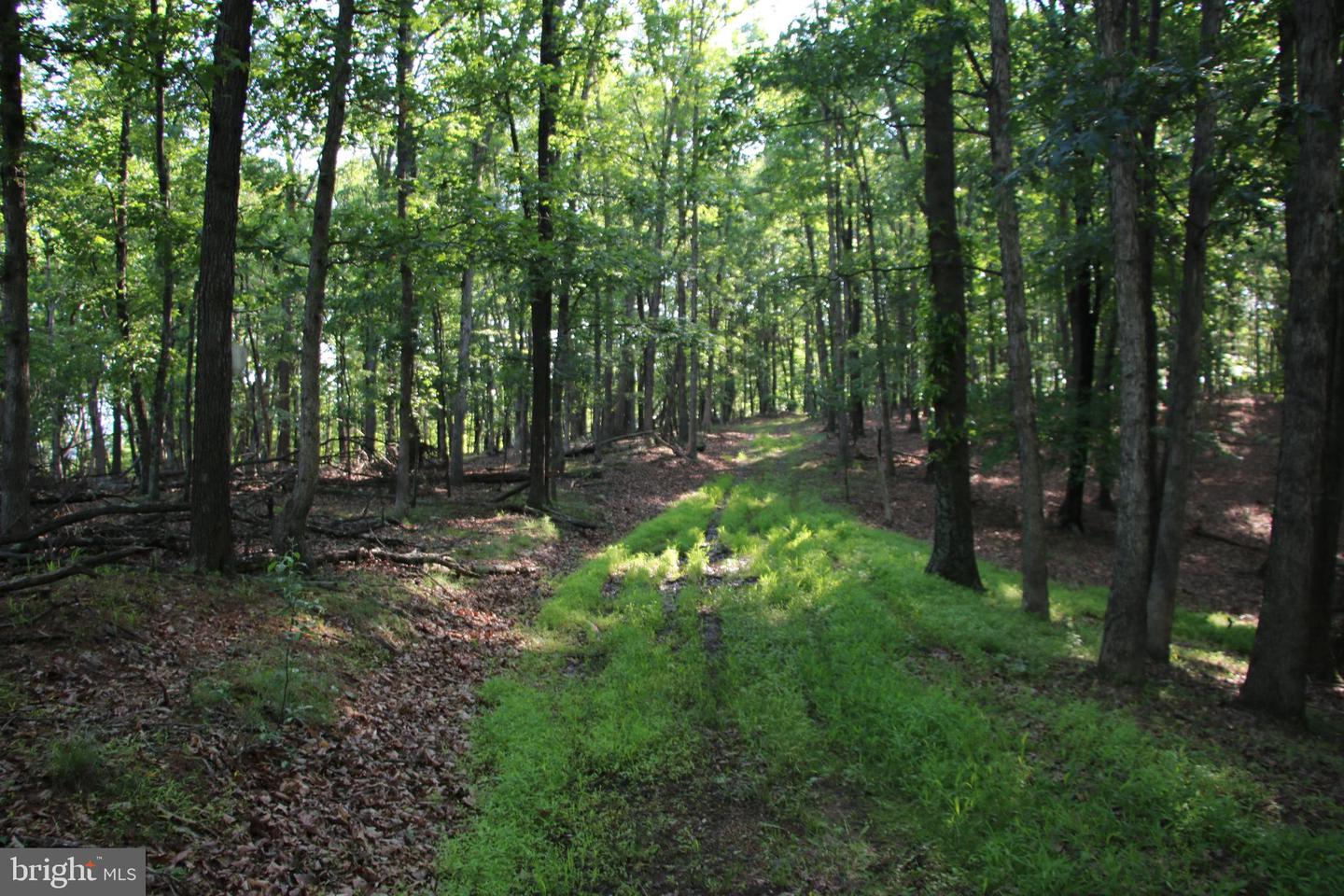 MOCKINGBIRD LOT 7A LN, WINCHESTER, Virginia 22603, ,Land,For sale,MOCKINGBIRD LOT 7A LN,VAFV2034376 MLS # VAFV2034376