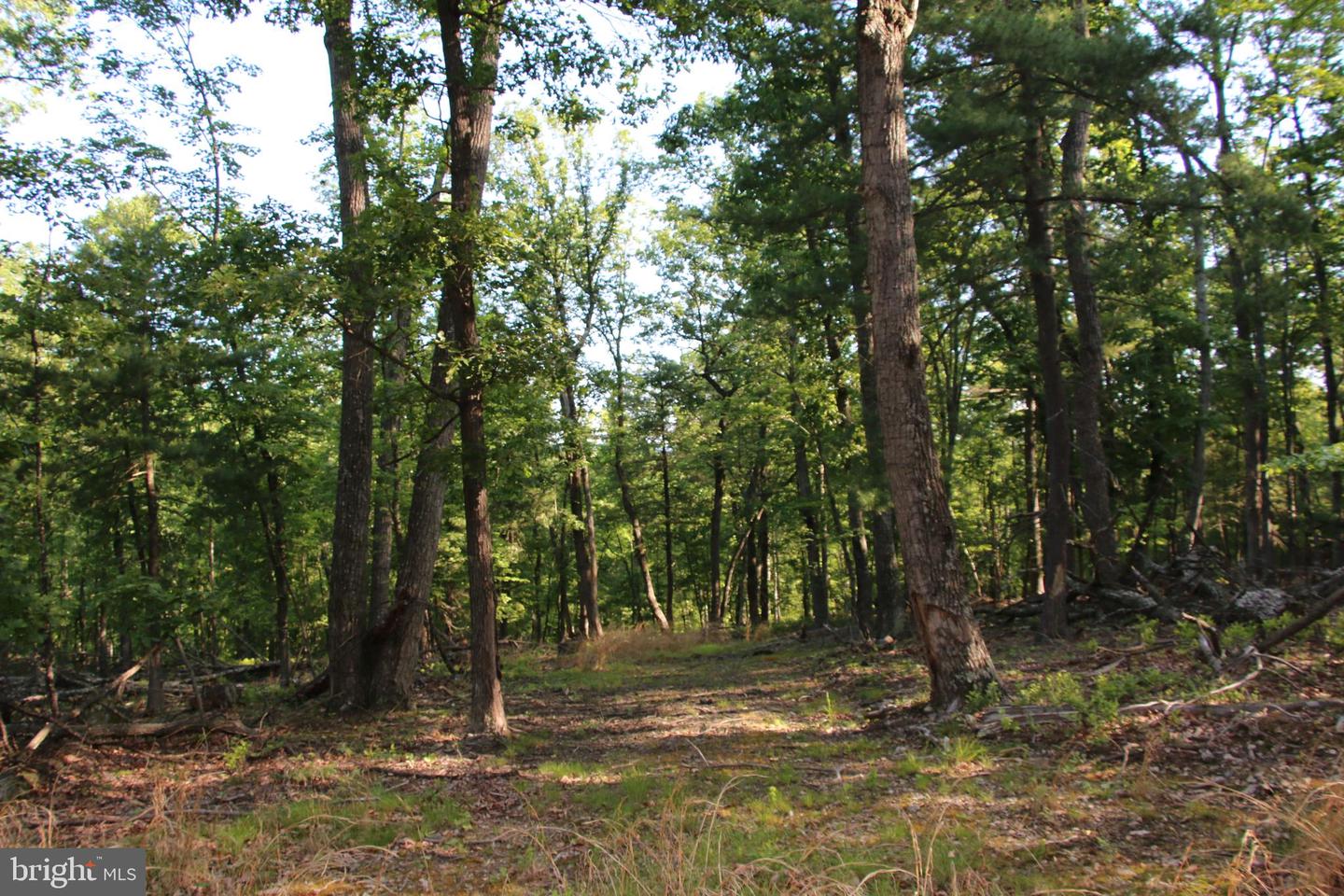 MOCKINGBIRD LOT 7A LN, WINCHESTER, Virginia 22603, ,Land,For sale,MOCKINGBIRD LOT 7A LN,VAFV2034376 MLS # VAFV2034376