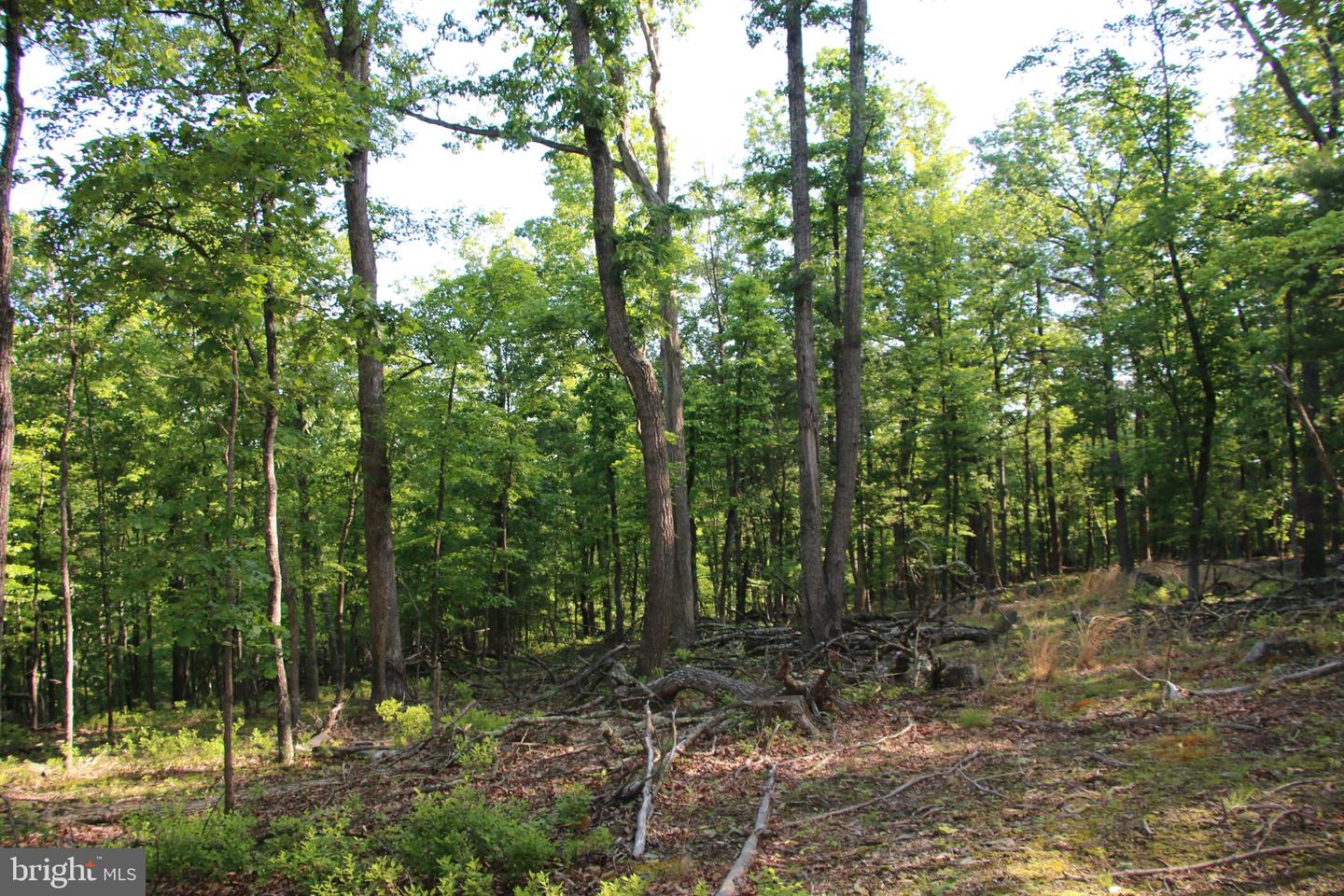 MOCKINGBIRD LOT 7A LN, WINCHESTER, Virginia 22603, ,Land,For sale,MOCKINGBIRD LOT 7A LN,VAFV2034376 MLS # VAFV2034376
