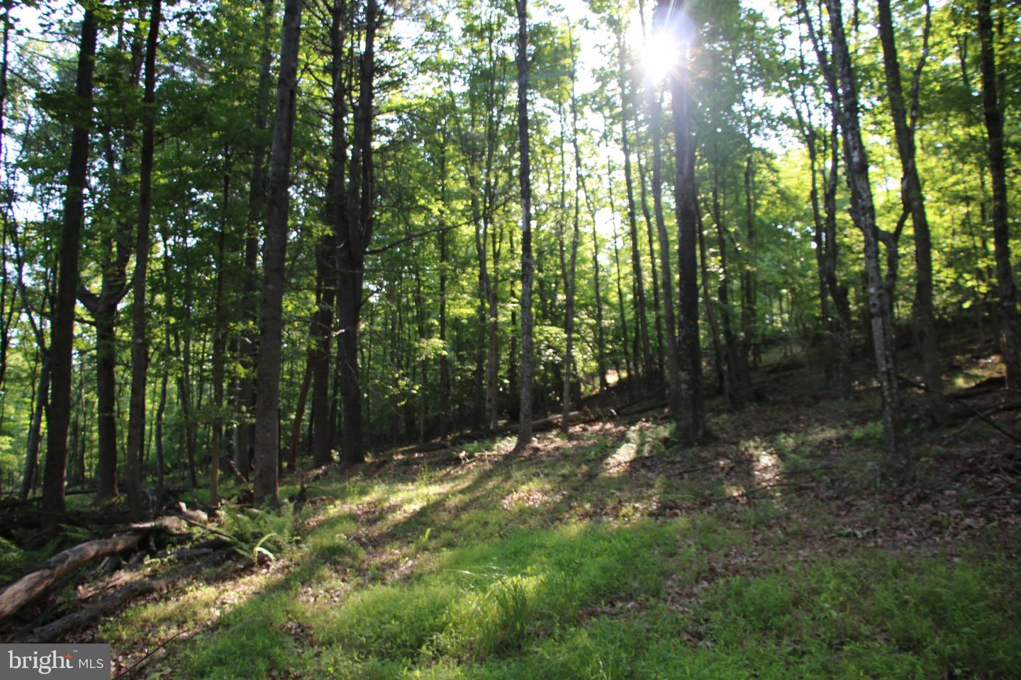 MOCKINGBIRD LOT 7A LN, WINCHESTER, Virginia 22603, ,Land,For sale,MOCKINGBIRD LOT 7A LN,VAFV2034376 MLS # VAFV2034376