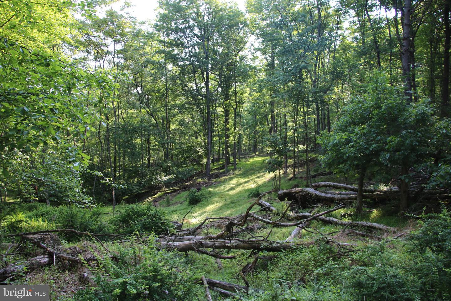 MOCKINGBIRD LOT 7A LN, WINCHESTER, Virginia 22603, ,Land,For sale,MOCKINGBIRD LOT 7A LN,VAFV2034376 MLS # VAFV2034376