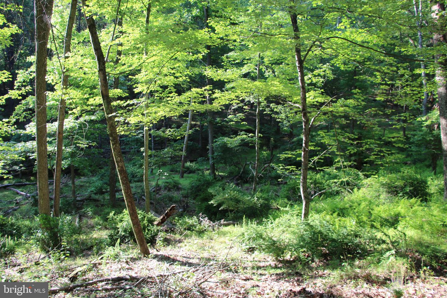 MOCKINGBIRD LOT 7A LN, WINCHESTER, Virginia 22603, ,Land,For sale,MOCKINGBIRD LOT 7A LN,VAFV2034376 MLS # VAFV2034376