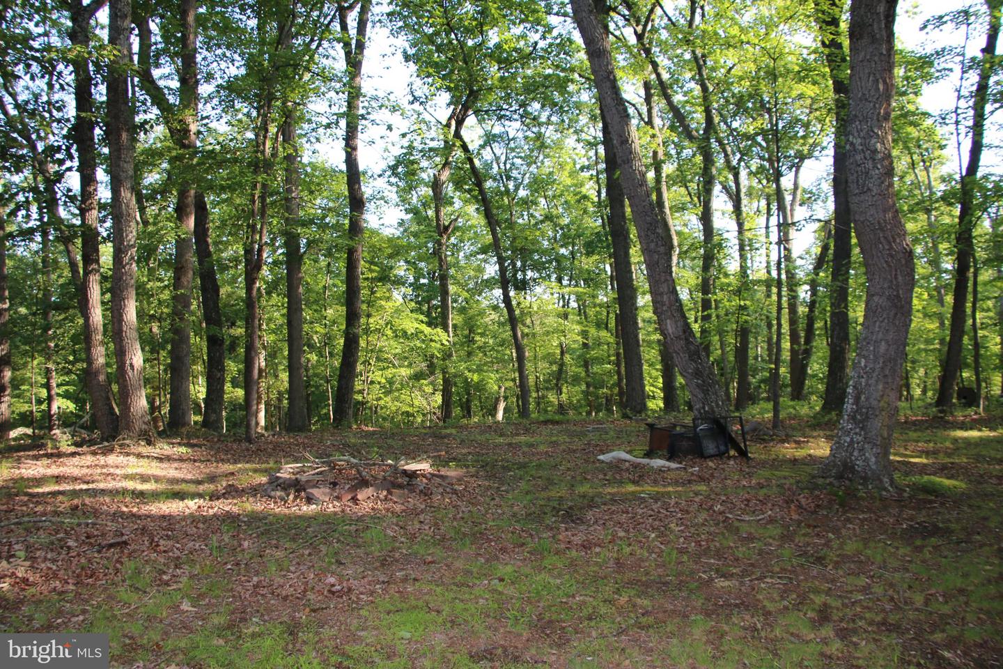 MOCKINGBIRD LOT 7A LN, WINCHESTER, Virginia 22603, ,Land,For sale,MOCKINGBIRD LOT 7A LN,VAFV2034376 MLS # VAFV2034376