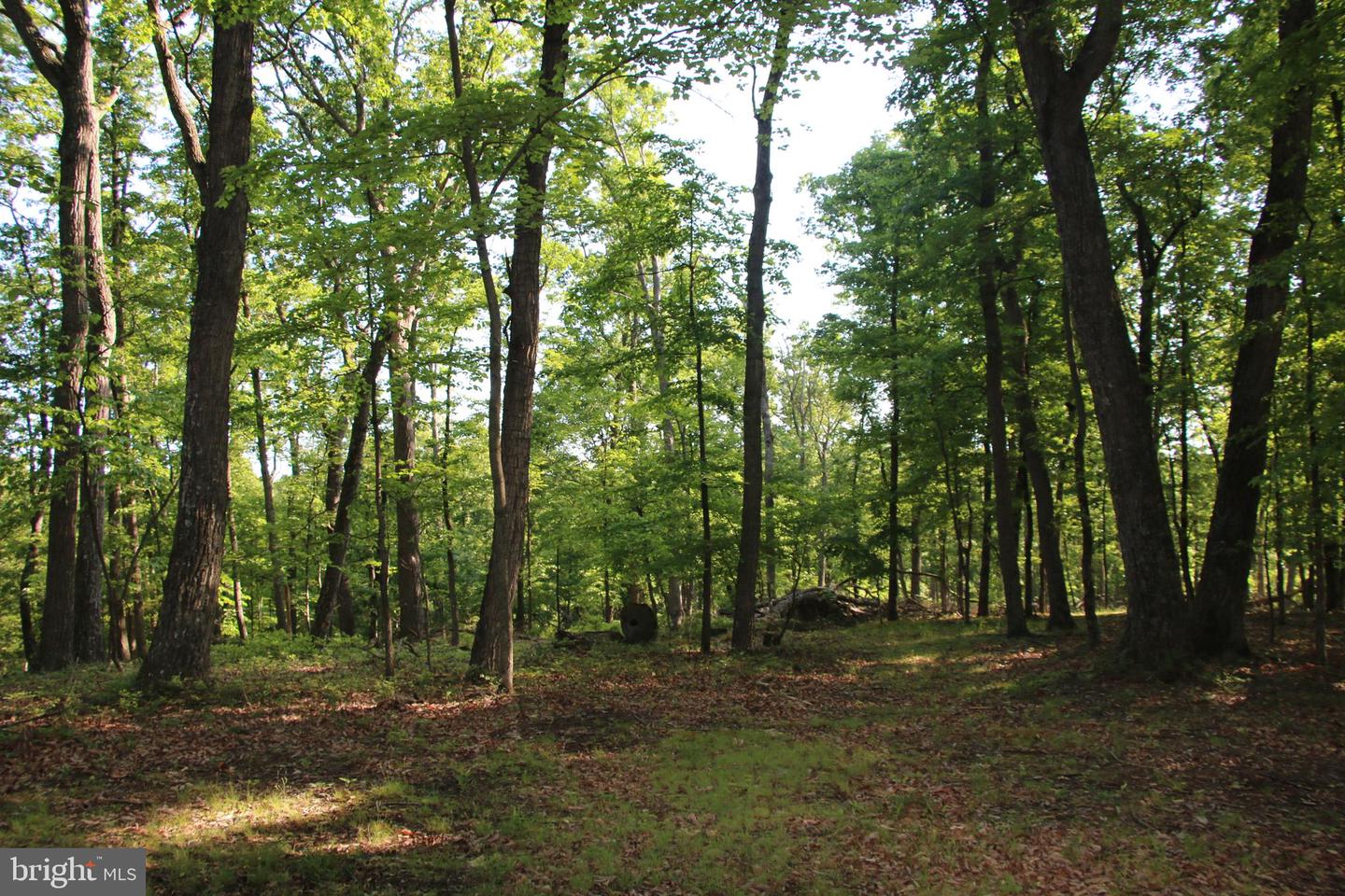 MOCKINGBIRD LOT 7A LN, WINCHESTER, Virginia 22603, ,Land,For sale,MOCKINGBIRD LOT 7A LN,VAFV2034376 MLS # VAFV2034376