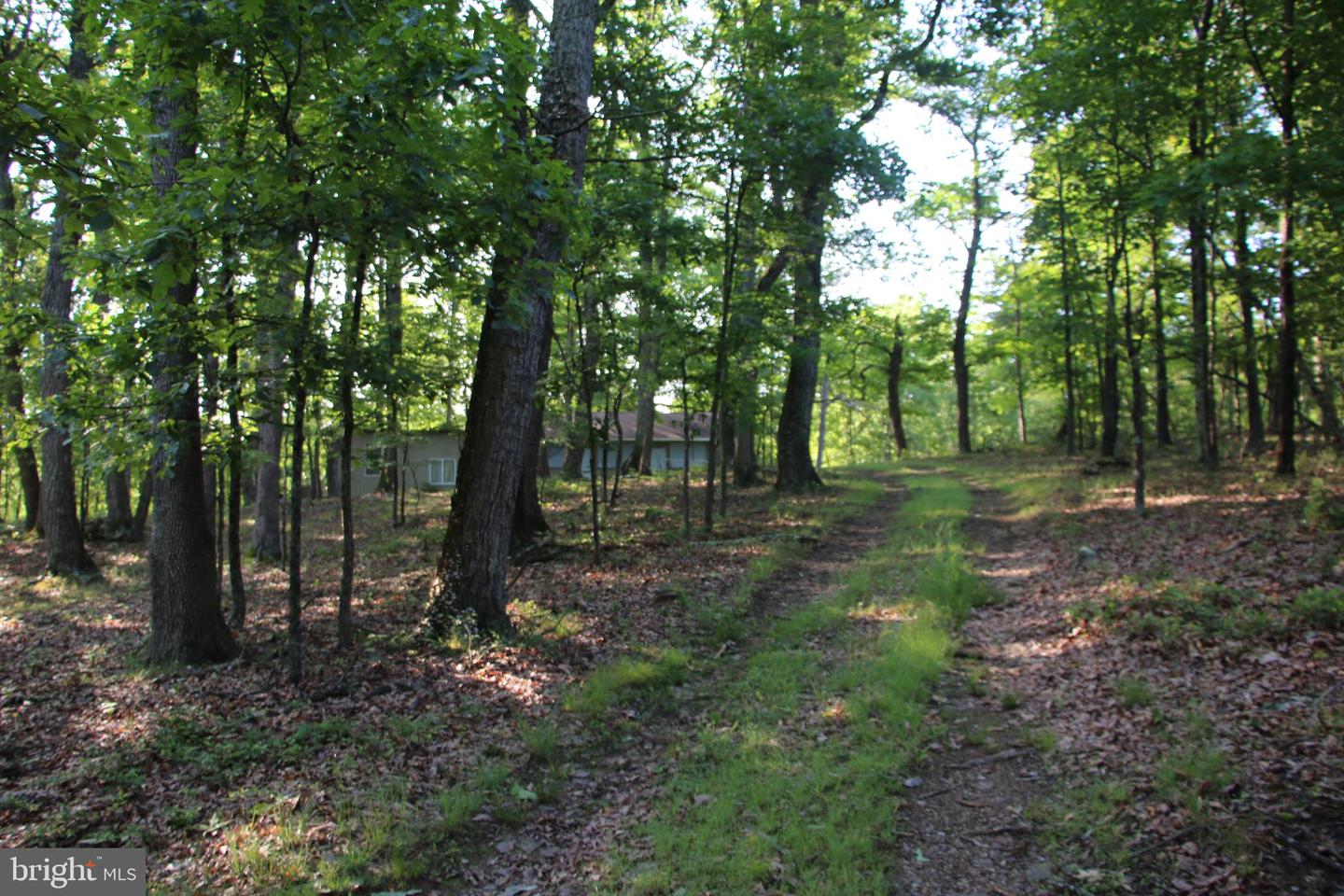 MOCKINGBIRD LOT 7A LN, WINCHESTER, Virginia 22603, ,Land,For sale,MOCKINGBIRD LOT 7A LN,VAFV2034376 MLS # VAFV2034376