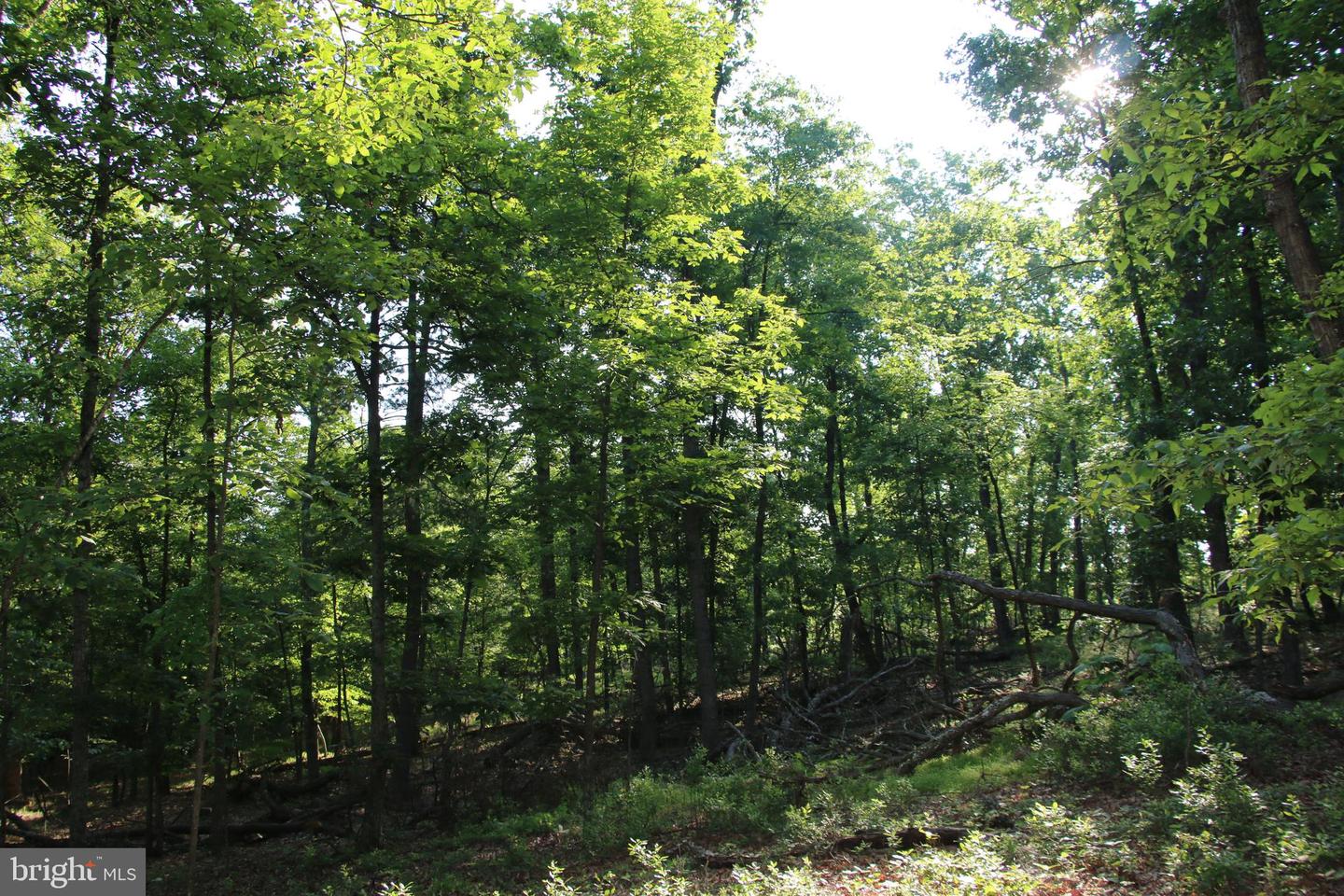 MOCKINGBIRD LOT 7A LN, WINCHESTER, Virginia 22603, ,Land,For sale,MOCKINGBIRD LOT 7A LN,VAFV2034376 MLS # VAFV2034376