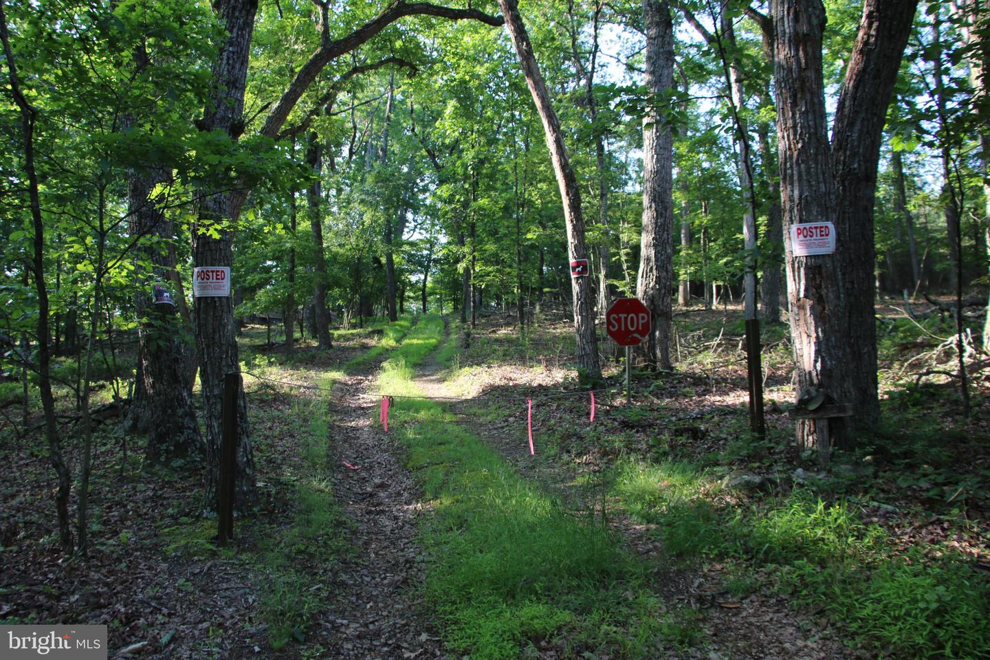 MOCKINGBIRD LOT 7A LN, WINCHESTER, Virginia 22603, ,Land,For sale,MOCKINGBIRD LOT 7A LN,VAFV2034376 MLS # VAFV2034376