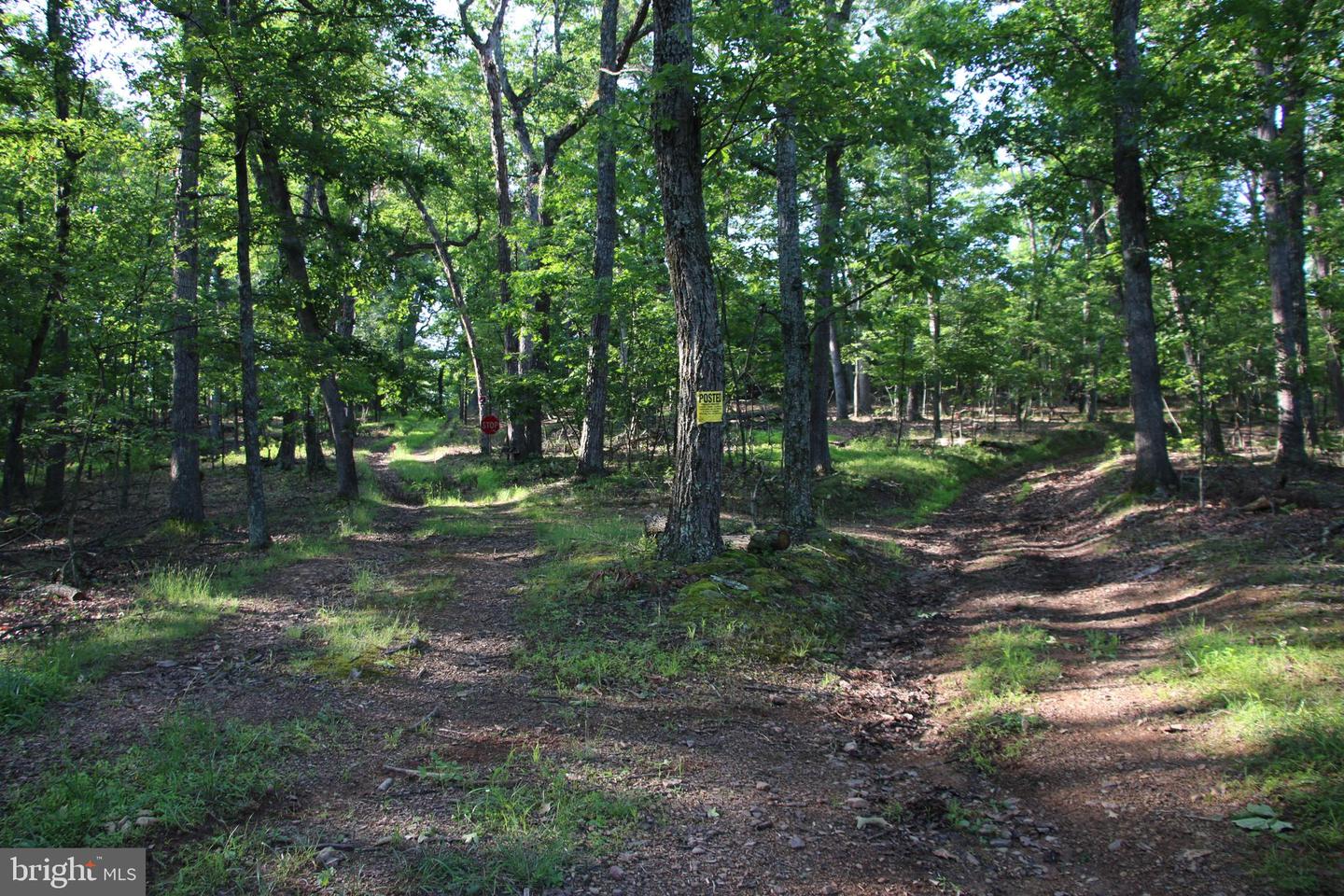 MOCKINGBIRD LOT 7A LN, WINCHESTER, Virginia 22603, ,Land,For sale,MOCKINGBIRD LOT 7A LN,VAFV2034376 MLS # VAFV2034376