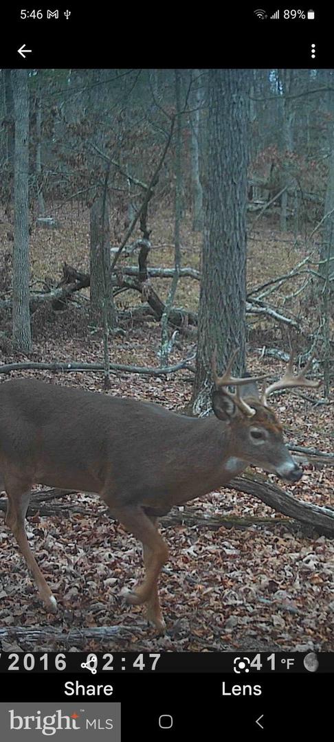 EASTER RIDGE LOT 7A LN, WINCHESTER, Virginia 22603, ,Land,For sale,EASTER RIDGE LOT 7A LN,VAFV2034376 MLS # VAFV2034376