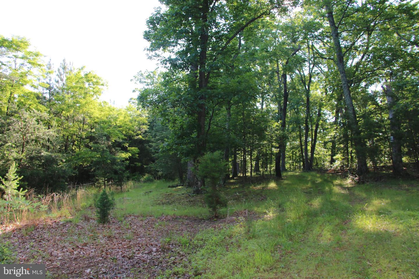 MOCKINGBIRD LOT 7 LN, WINCHESTER, Virginia 22603, ,Land,For sale,MOCKINGBIRD LOT 7 LN,VAFV2034380 MLS # VAFV2034380