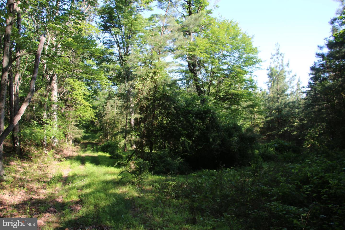 MOCKINGBIRD LOT 7 LN, WINCHESTER, Virginia 22603, ,Land,For sale,MOCKINGBIRD LOT 7 LN,VAFV2034380 MLS # VAFV2034380