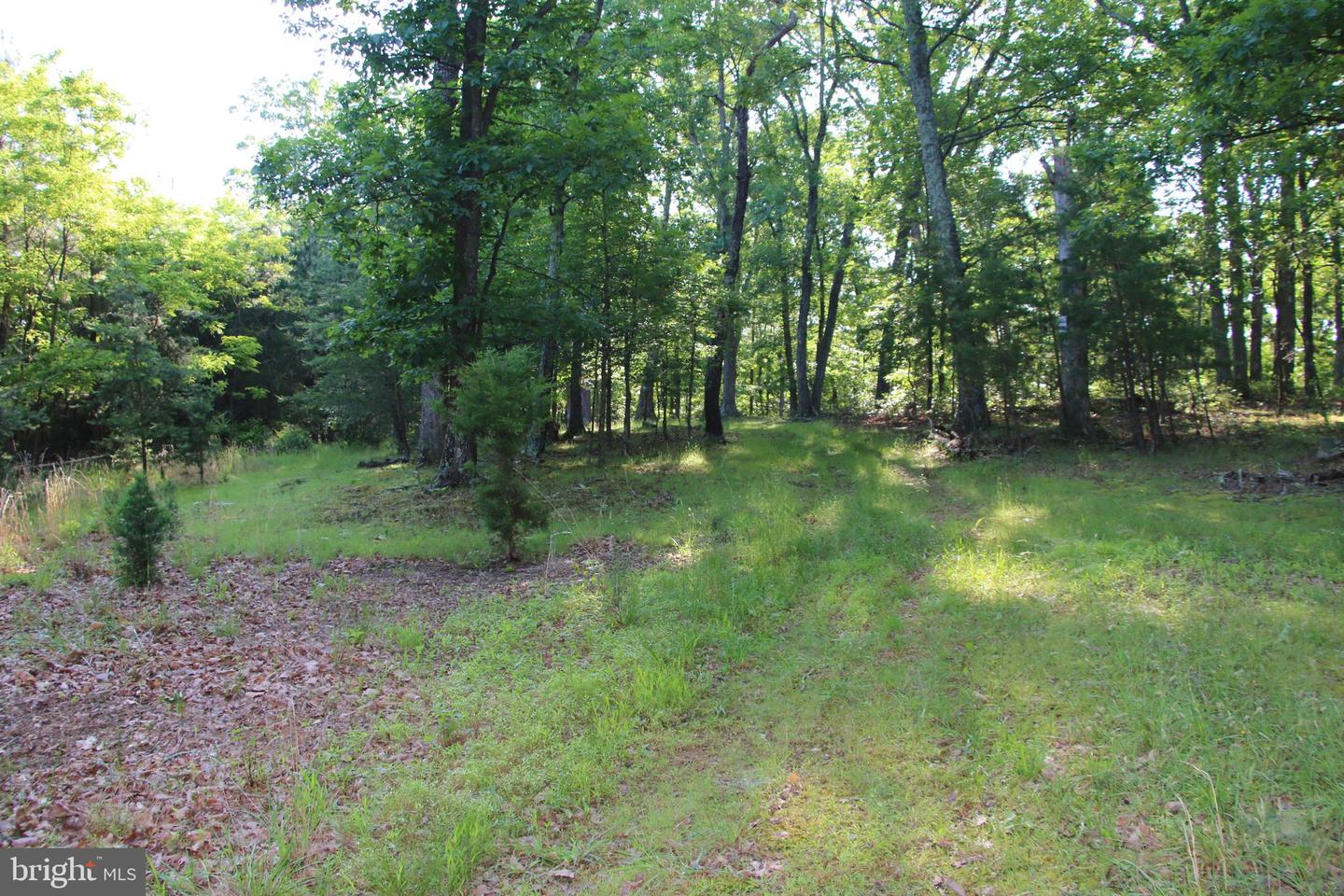 MOCKINGBIRD LOT 7 LN, WINCHESTER, Virginia 22603, ,Land,For sale,MOCKINGBIRD LOT 7 LN,VAFV2034380 MLS # VAFV2034380