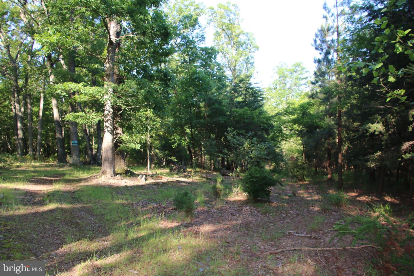 MOCKINGBIRD LOT 7 LN, WINCHESTER, Virginia 22603, ,Land,For sale,MOCKINGBIRD LOT 7 LN,VAFV2034380 MLS # VAFV2034380