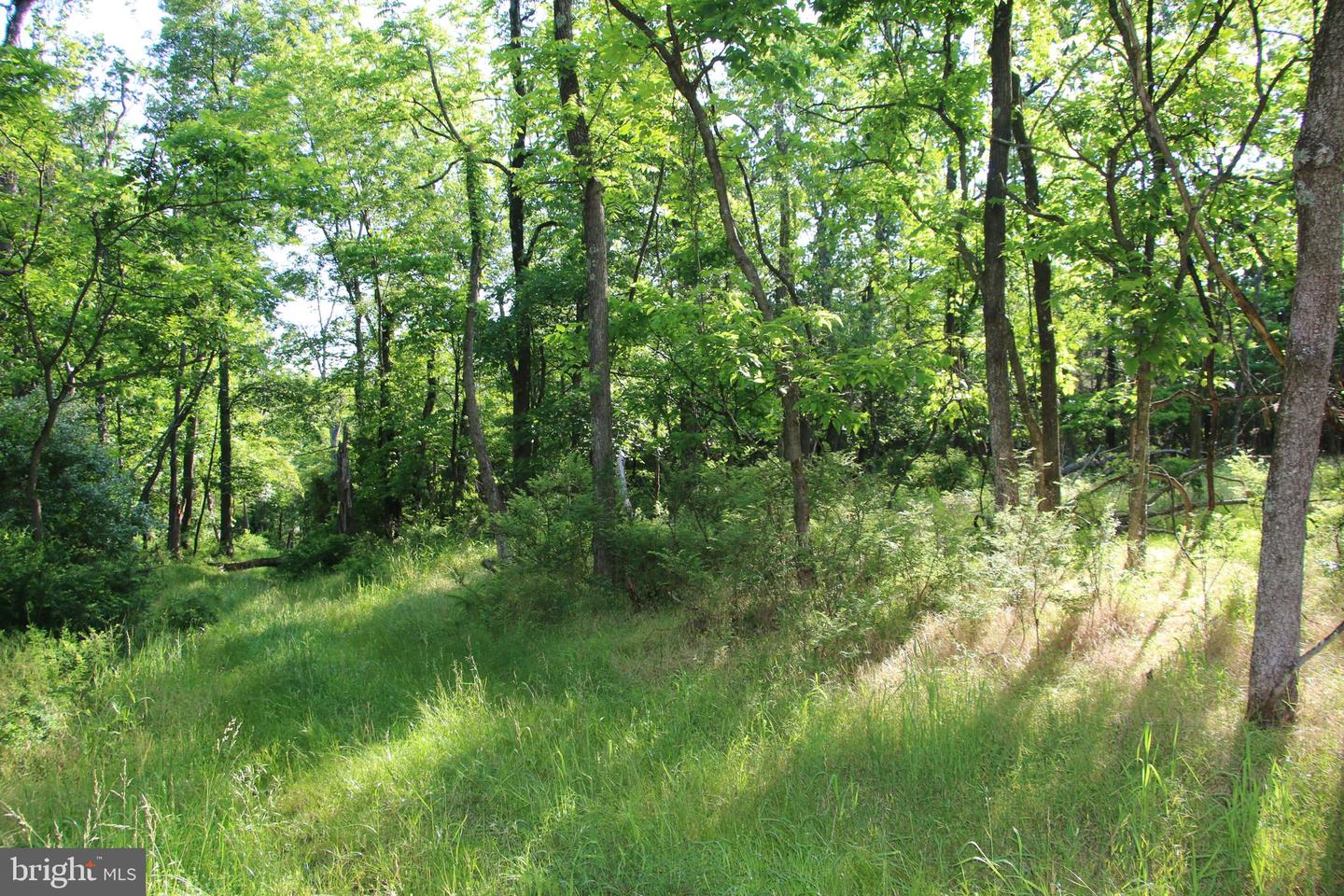 MOCKINGBIRD LOT 7 LN, WINCHESTER, Virginia 22603, ,Land,For sale,MOCKINGBIRD LOT 7 LN,VAFV2034380 MLS # VAFV2034380