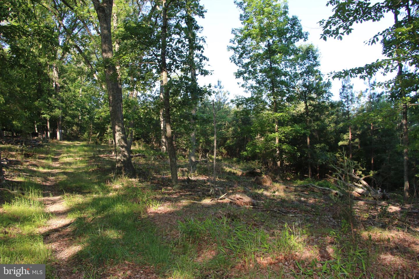 MOCKINGBIRD LOT 7 LN, WINCHESTER, Virginia 22603, ,Land,For sale,MOCKINGBIRD LOT 7 LN,VAFV2034380 MLS # VAFV2034380