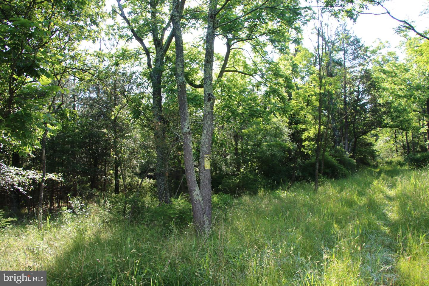 MOCKINGBIRD LOT 7 LN, WINCHESTER, Virginia 22603, ,Land,For sale,MOCKINGBIRD LOT 7 LN,VAFV2034380 MLS # VAFV2034380