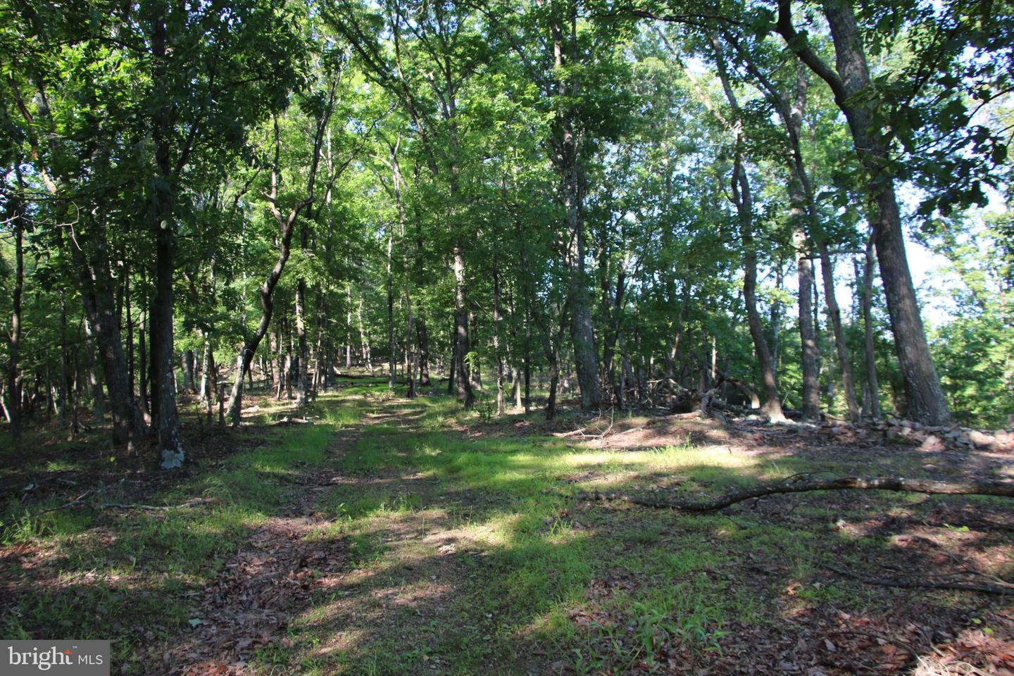 MOCKINGBIRD LOT 7 LN, WINCHESTER, Virginia 22603, ,Land,For sale,MOCKINGBIRD LOT 7 LN,VAFV2034380 MLS # VAFV2034380