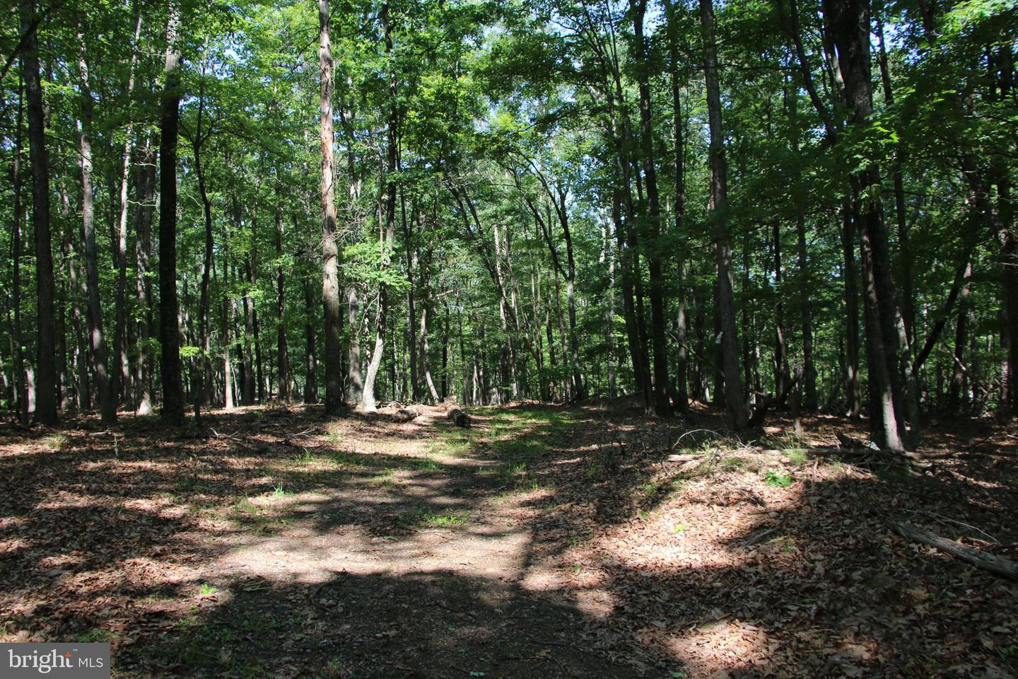 MOCKINGBIRD LOT 7 LN, WINCHESTER, Virginia 22603, ,Land,For sale,MOCKINGBIRD LOT 7 LN,VAFV2034380 MLS # VAFV2034380