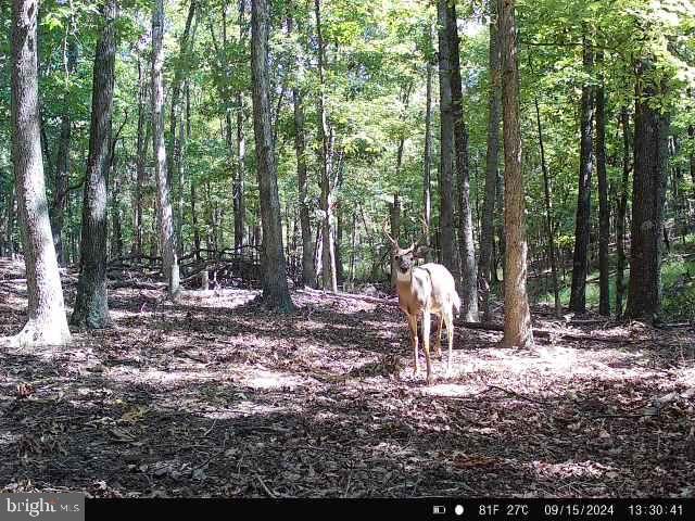 MOCKINGBIRD LOT 7 LN, WINCHESTER, Virginia 22603, ,Land,For sale,MOCKINGBIRD LOT 7 LN,VAFV2034380 MLS # VAFV2034380