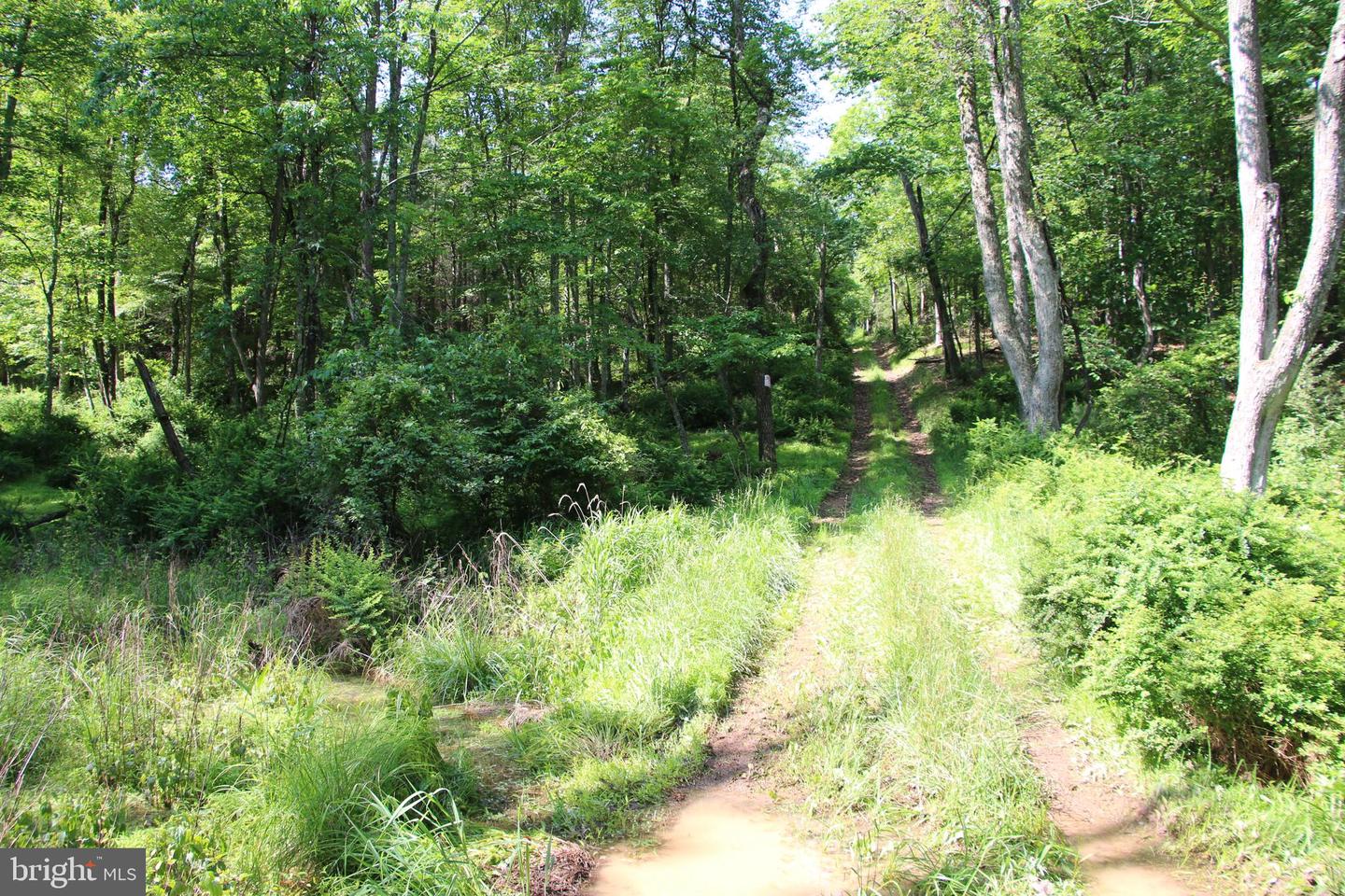 MOCKINGBIRD LOT 7 LN, WINCHESTER, Virginia 22603, ,Land,For sale,MOCKINGBIRD LOT 7 LN,VAFV2034380 MLS # VAFV2034380