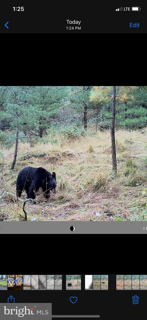EASTER RIDGE LOT 7 LN, WINCHESTER, Virginia 22603, ,Land,For sale,EASTER RIDGE LOT 7 LN,VAFV2034380 MLS # VAFV2034380 EASTER RIDGE LOT 7 LN, WINCHESTER, Virginia 22603, ,Land,For sale,EASTER RIDGE LOT 7 LN,VAFV2034380 MLS # VAFV2034380