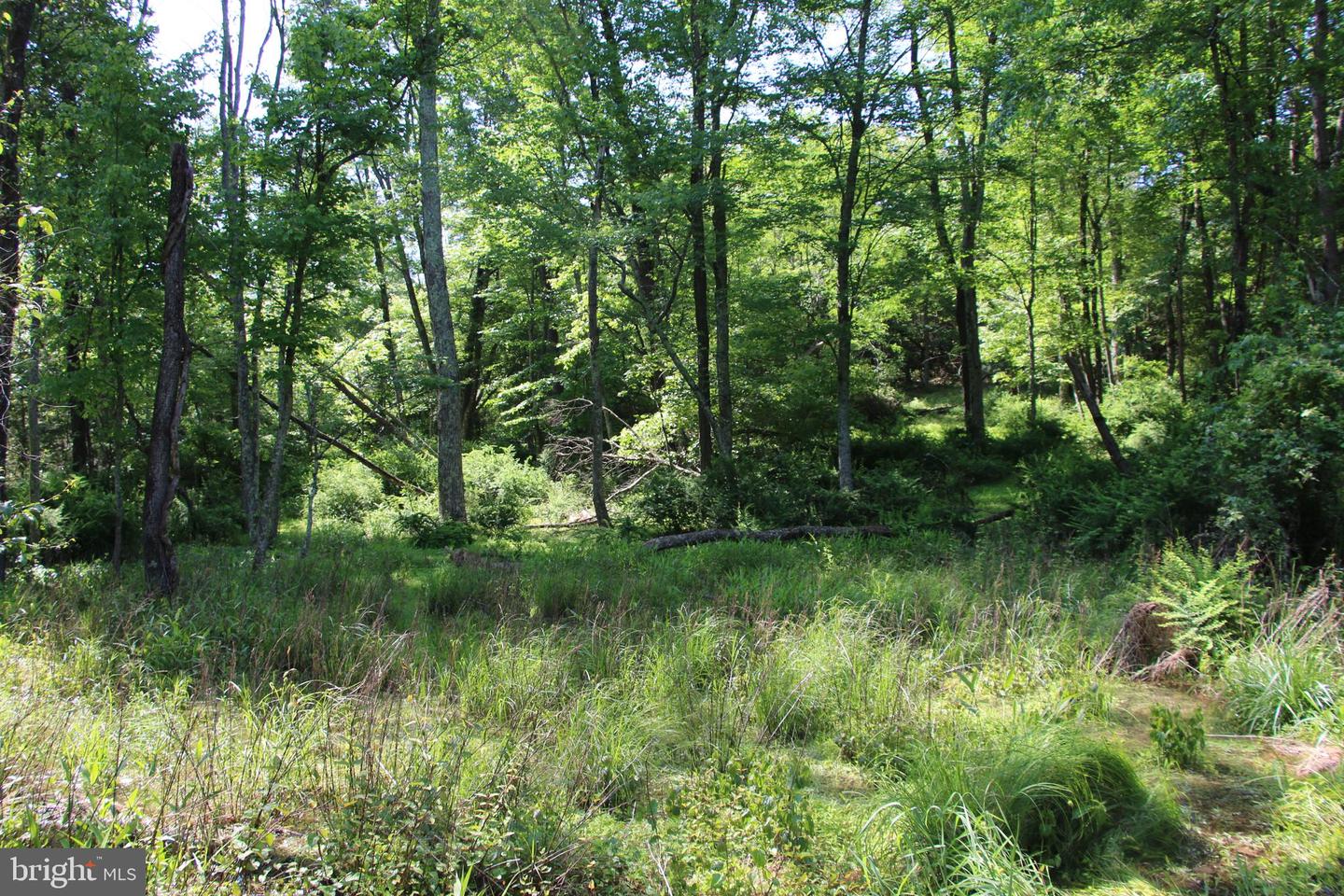 MOCKINGBIRD LOT 7 LN, WINCHESTER, Virginia 22603, ,Land,For sale,MOCKINGBIRD LOT 7 LN,VAFV2034380 MLS # VAFV2034380