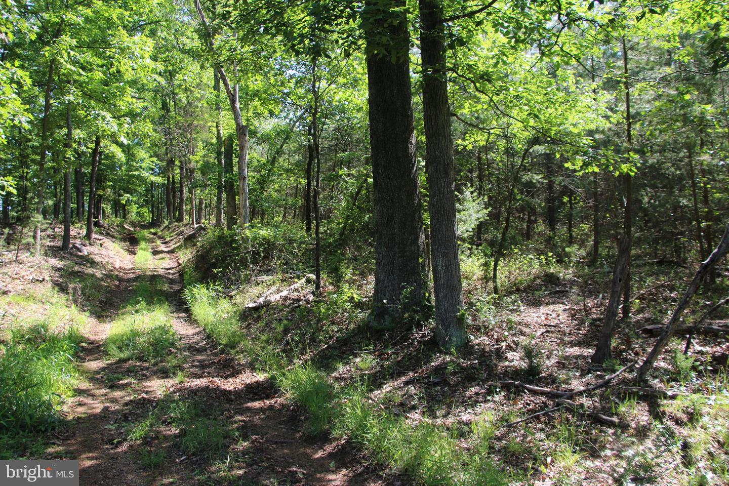 MOCKINGBIRD LOT 7 LN, WINCHESTER, Virginia 22603, ,Land,For sale,MOCKINGBIRD LOT 7 LN,VAFV2034380 MLS # VAFV2034380