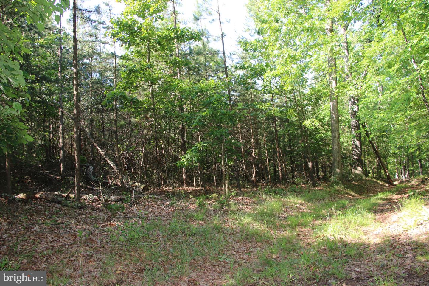 MOCKINGBIRD LOT 7 LN, WINCHESTER, Virginia 22603, ,Land,For sale,MOCKINGBIRD LOT 7 LN,VAFV2034380 MLS # VAFV2034380